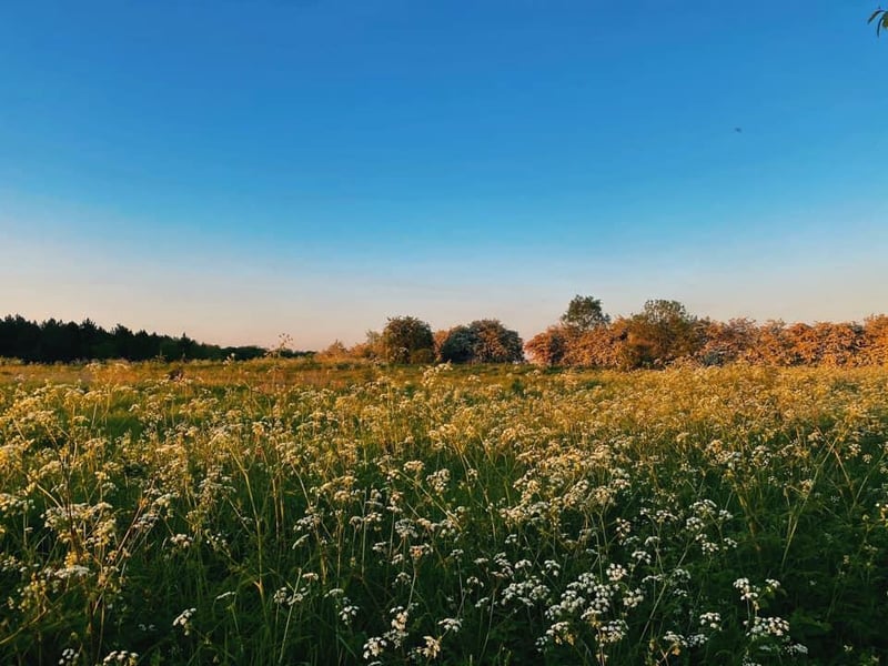 Photo by Shannen Garfitt