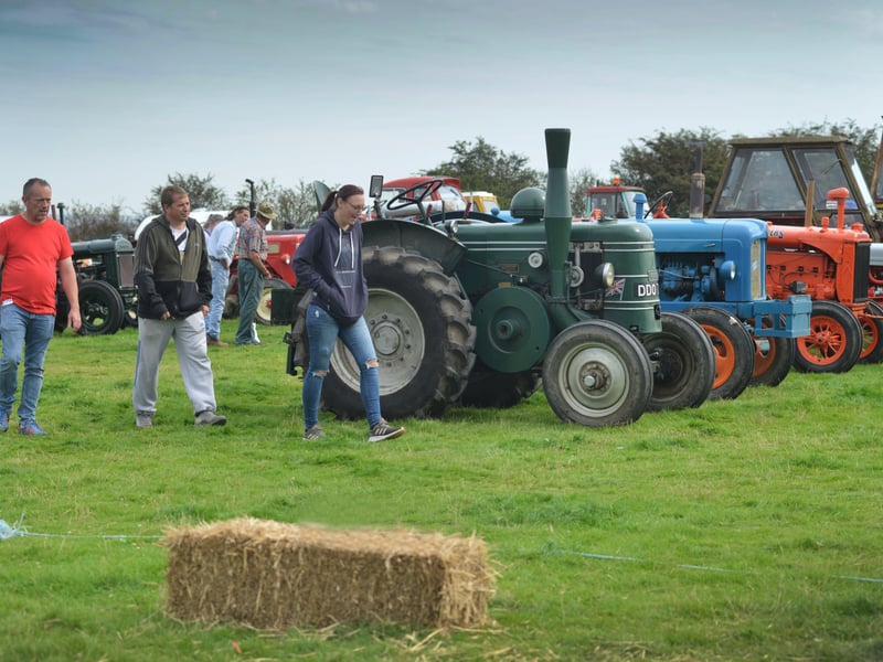 Rye & District Country Show in Icklesham 2021. SUS-210821-131152001