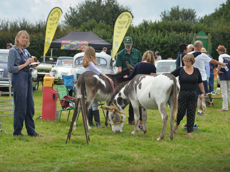 Rye & District Country Show in Icklesham 2021. SUS-210821-131244001