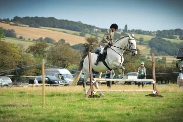 Rye & District Country Show in Icklesham 2021. SUS-210821-130114001