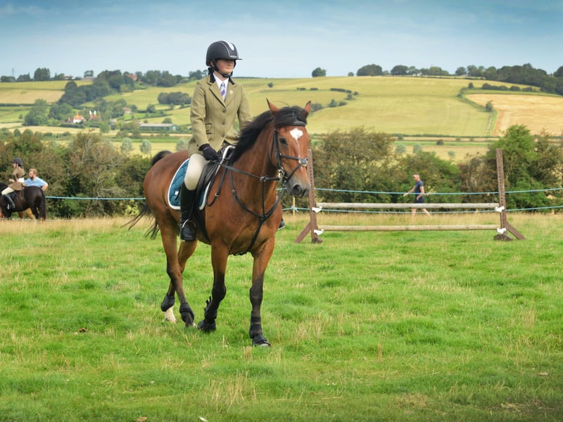 Rye & District Country Show in Icklesham 2021. SUS-210821-130142001