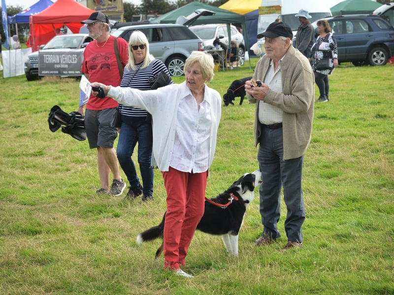 Rye & District Country Show in Icklesham 2021. SUS-210821-130655001