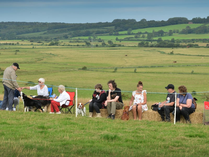 Rye & District Country Show in Icklesham 2021. SUS-210821-130708001