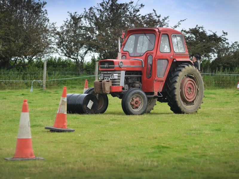 Rye & District Country Show in Icklesham 2021. SUS-210821-131257001