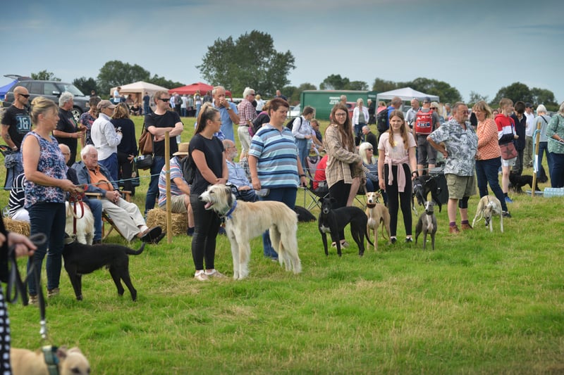 Rye & District Country Show in Icklesham 2021. SUS-210821-131047001