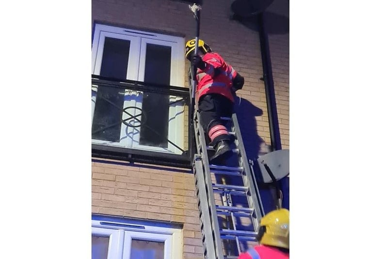 Fire crews rescue Flame from flats in Eagle Way, Hampton. Photo: Melissa Jones.