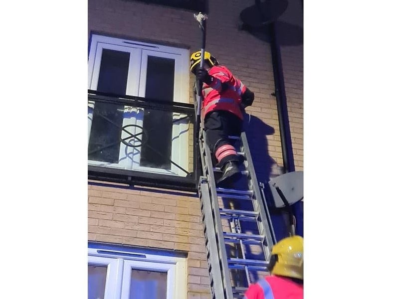 Fire crews rescue Flame from flats in Eagle Way, Hampton. Photo: Melissa Jones.