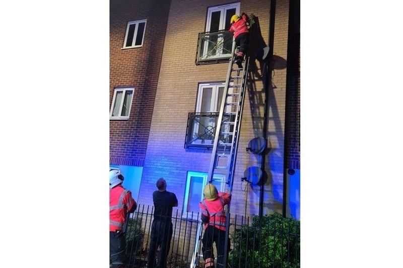 Fire crews rescue Flame from flats in Eagle Way, Hampton. Photo: Melissa Jones.