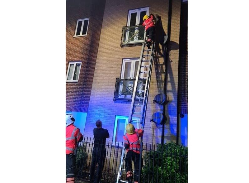 Fire crews rescue Flame from flats in Eagle Way, Hampton. Photo: Melissa Jones.