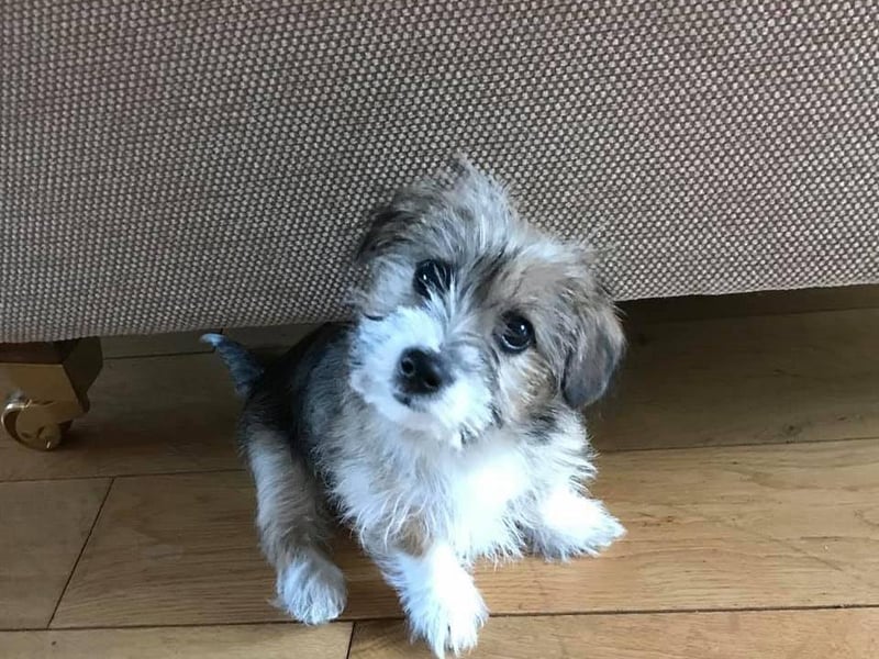 Andrea Linkson posted this image to our Worthing Herald Facebook page with the message: 'Not the best but probably the cutest'