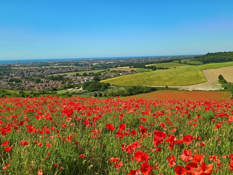 Annie Winchester posted this image to our Worthing Herald Facebook page
