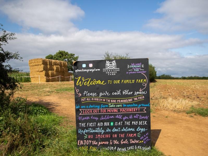 The pick your own sunflower field reopens at Overstone Grange Farm. Photo: Kirsty Edmonds.