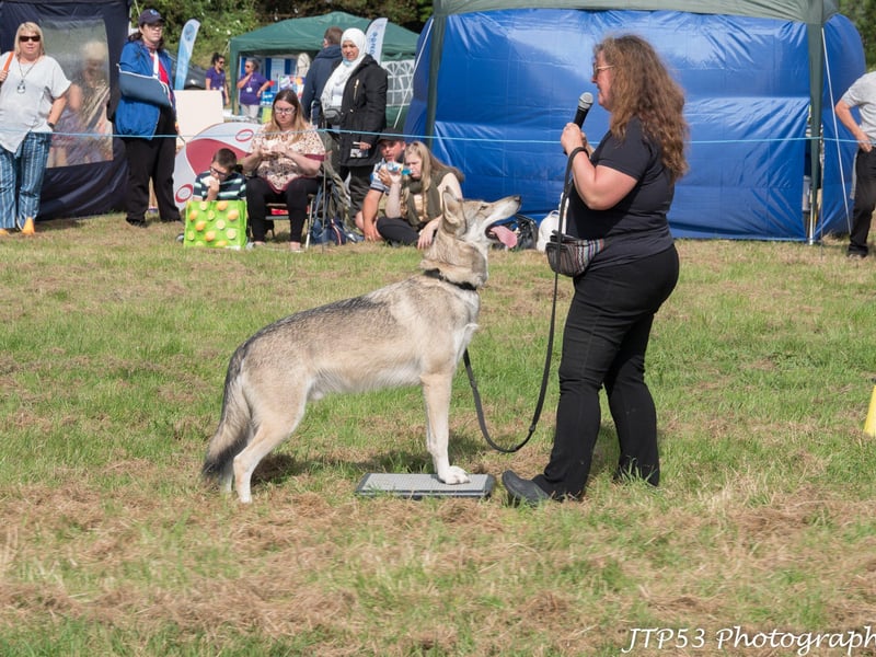 Bexhill on Sea 2021 Festival, Glyne Gap Field 21.22 Aug.Photo by Jeff Penfold (JTP53 Photography). SUS-210823-124127001