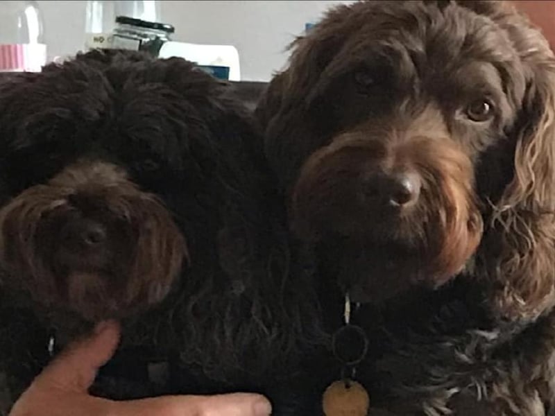 Daphne Webb posted this photo with the message: 'We are so cute and so loved xxx'