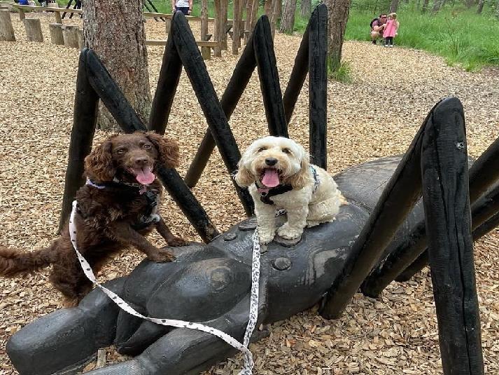 Holly Smith posted this photo with the message: 'Mindy and Heidi'