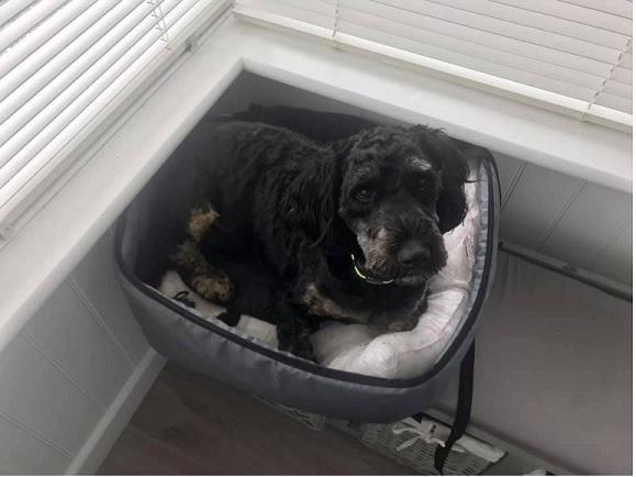 Jan Bryant posted this photo with the message: 'Hanx... why has my bed been taken out of the car!'