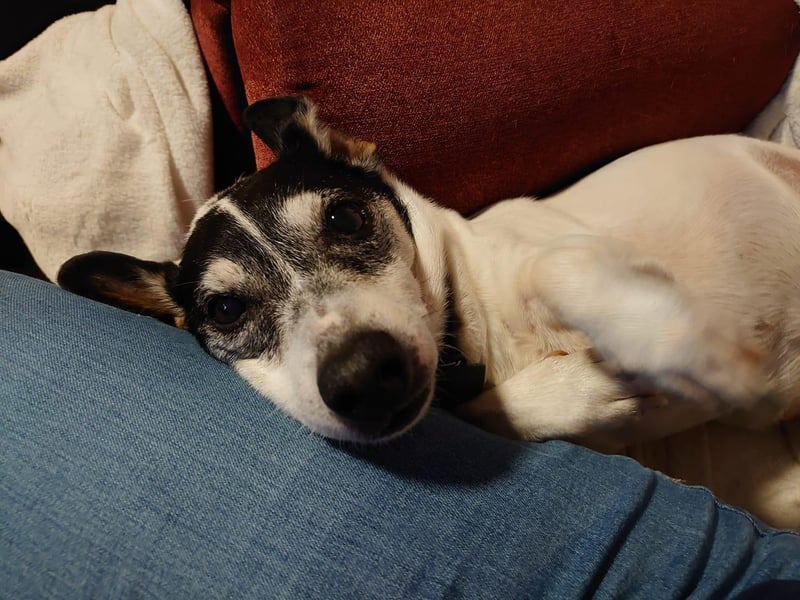 Nicola Braiden posted this photo with the message: 'Our Jake'