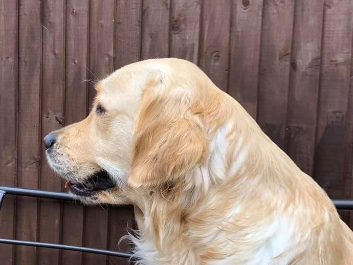 Teresa Scotcher posted this photo with the message: 'Here is my two year old girl Maia.'