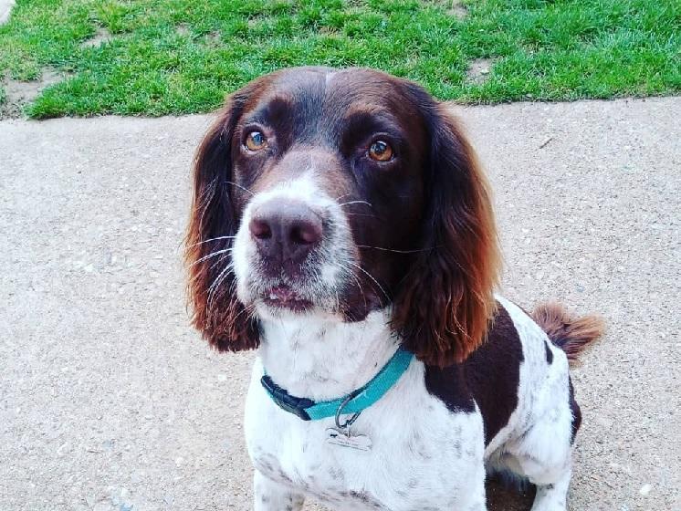 Kimmy Jane posted this photo with the message: 'My boy Chester'