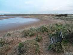 Humberston Fitties is a wide sandy beach at the mouth of the Humber Estuary. From here there are great views of the ships and boats leaving port. ww2 forts,
The beach here is backed by sand dunes known as the Humberston Fitties. This area doubles as a conservation area and collection of around 300 vintage holiday chalets. A little further along is a larger, more modern caravan park.
There is little in the way of facilities on the beach, but that is part of the charm.