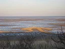 Theddlethorpe Beach is definitely one for nature lovers. A superb unspoilt landscape of salt marshland and sands.
Saltfleetby Theddlethorpe Dunes are designated a National Nature Reserve and there are a range of habitats here; tidal sand and mudflats, salt and freshwater marshes and sand dunes. The marshes behind the beach are one of only a few location in the UK where the natterjack toad can be found.