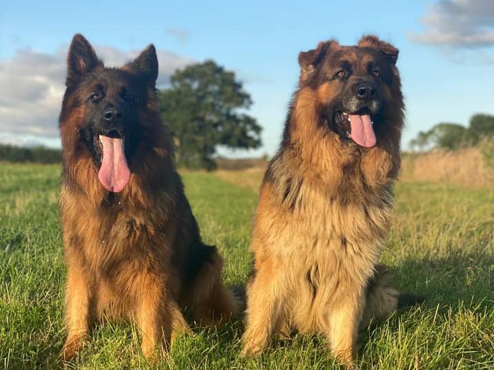 Bear and Ted.