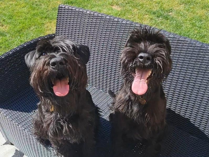 Florrie and Ziggy.