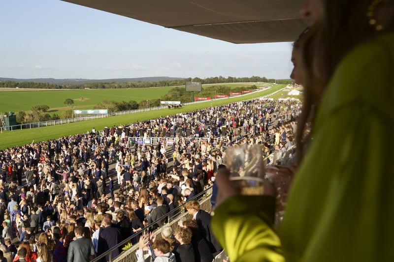 Evening racing at Goodwood under sunny skies kicked off the bank holiday weekend / Picture: Clive Bennett