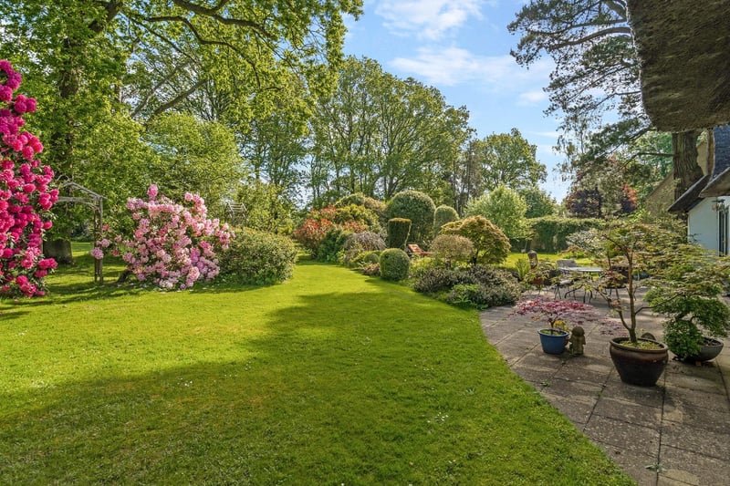 Admire the beauty of a carefully landscaped garden.