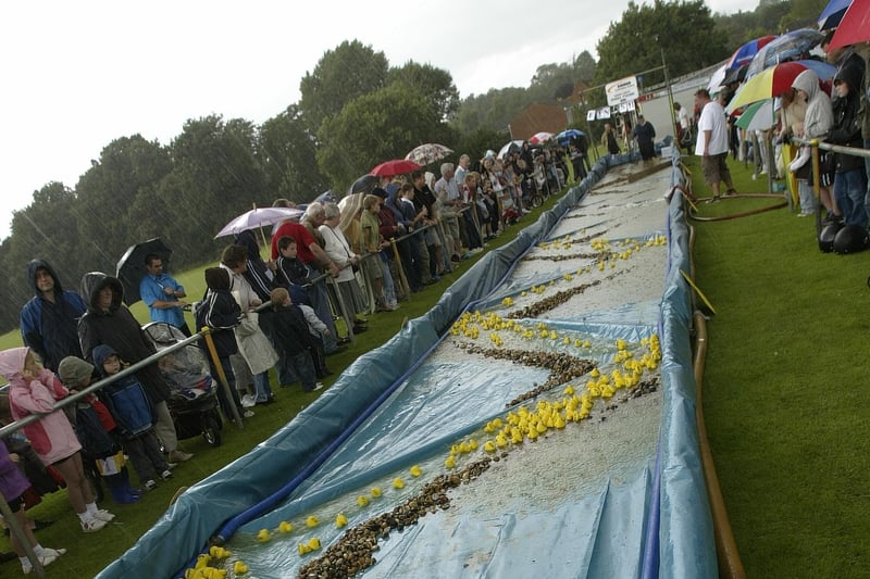 HOR 210707 Pulborough Duck Race and Village Day, MAYOAK0003495871