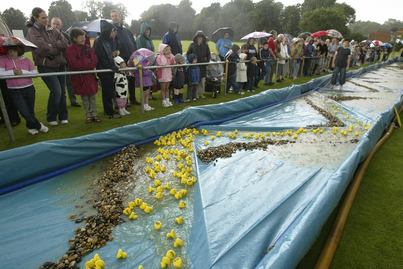 HOR 210707 Pulborough Duck Race and Village Day, MAYOAK0003495849
