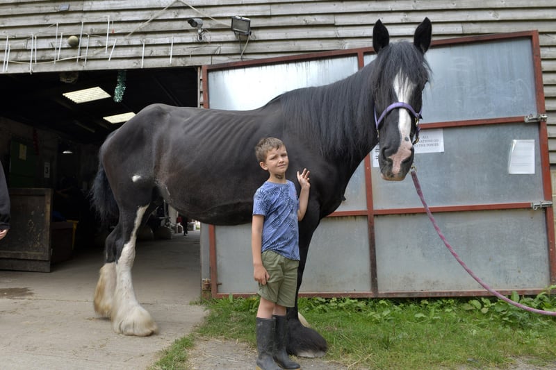 Little Bramley Horse Sanctuary. James Score (8) with Shire Horse 'Hope' (11) (Photo by Jon Rigby) SUS-210831-214310008