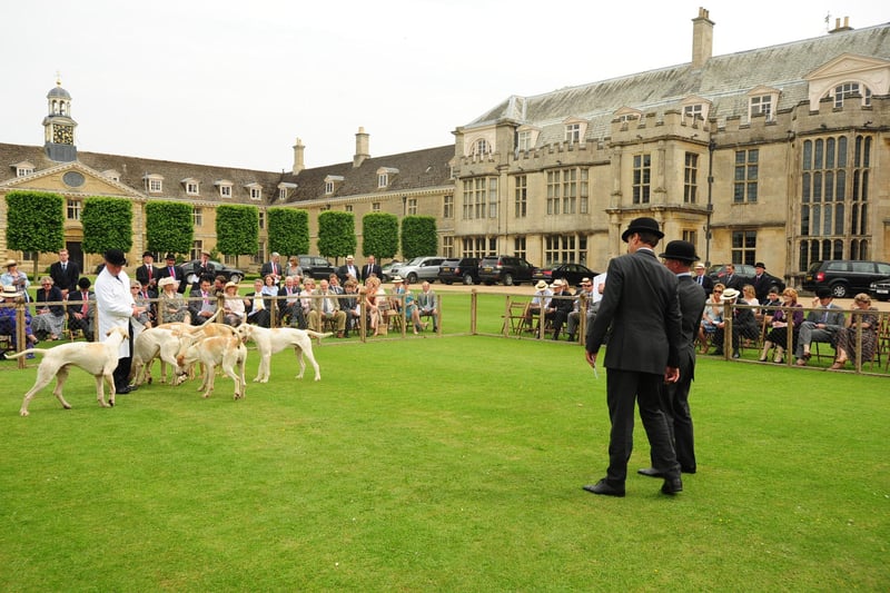 The annual Fitzwilliam Hunt puppy show, held at Milton Hall ENGEMN00120130619162829