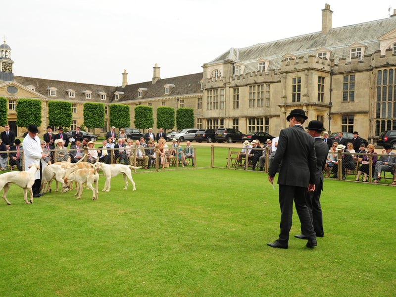 The annual Fitzwilliam Hunt puppy show, held at Milton Hall ENGEMN00120130619162829
