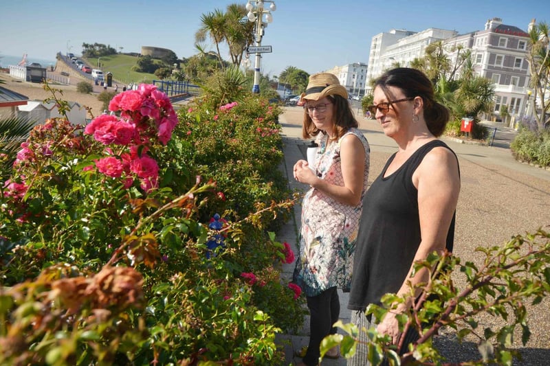 Admiring some of the flowers along the promenade