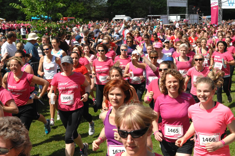 The participants in the 2013 Race for Life