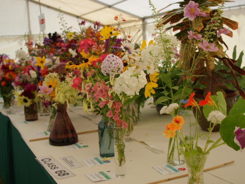 Newick Horticultural Society's annual show, September 4, 2021 SUS-211009-105828001