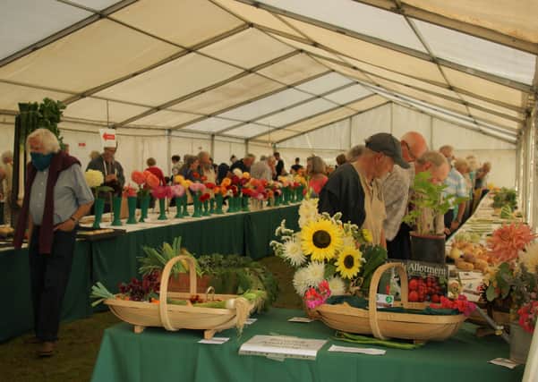 Newick Horticultural Society's annual show, September 4, 2021 SUS-211009-105711001