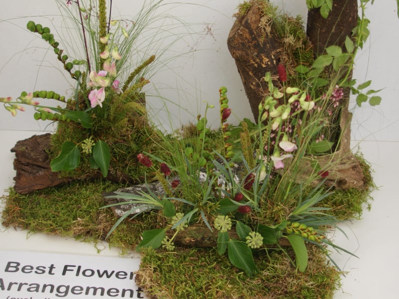 Newick Horticultural Society's annual show, September 4, 2021 SUS-211009-105648001