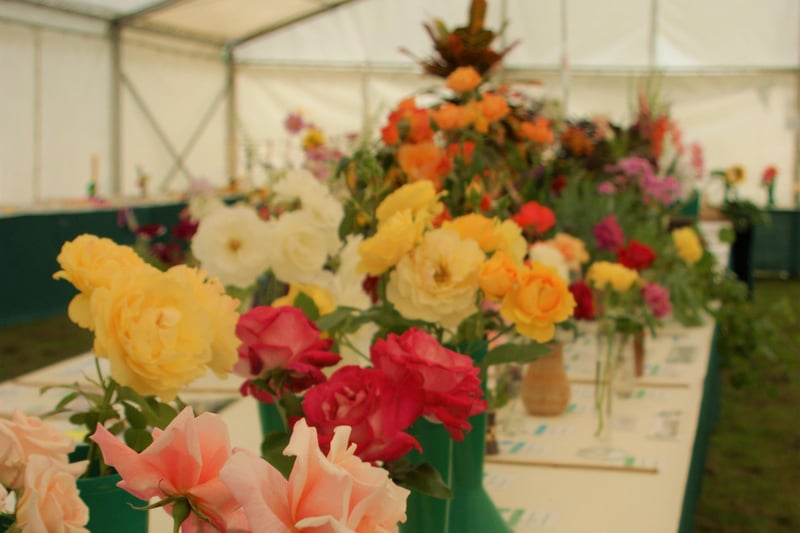 Newick Horticultural Society's annual show, September 4, 2021 SUS-211009-105722001