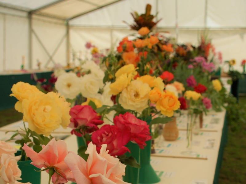 Newick Horticultural Society's annual show, September 4, 2021 SUS-211009-105722001