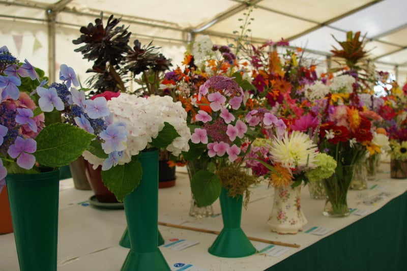 Newick Horticultural Society's annual show, September 4, 2021 SUS-211009-105817001
