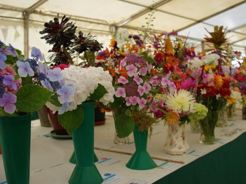 Newick Horticultural Society's annual show, September 4, 2021 SUS-211009-105817001