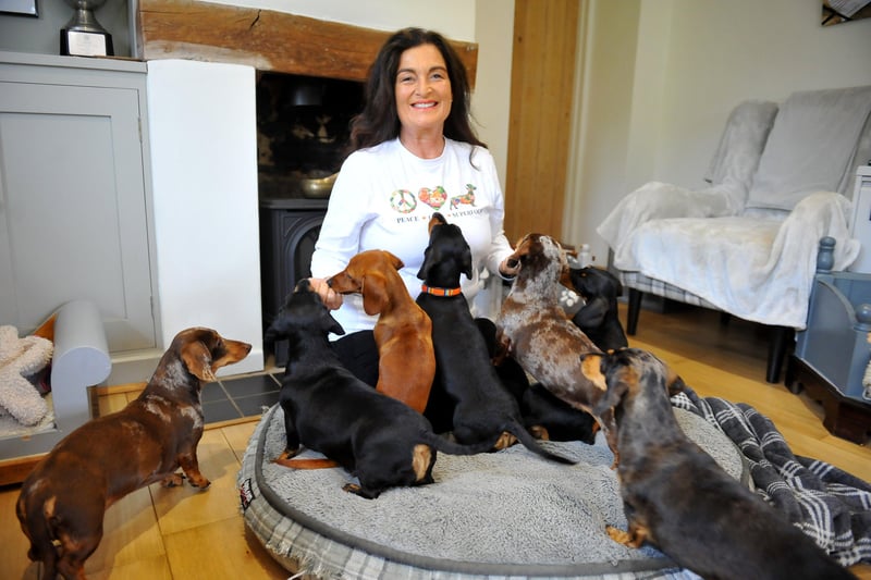 Sallie-Anne with some of the dogs