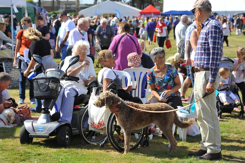Littlehampton Town Show and Family Fun Day. Pic S Robards