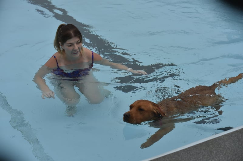 Dogswim at Peterborough Lido. Leonie Childs and Marvel EMN-210914-151817009