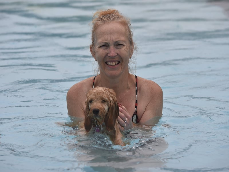 Dogswim at Peterborough Lido EMN-210914-151934009