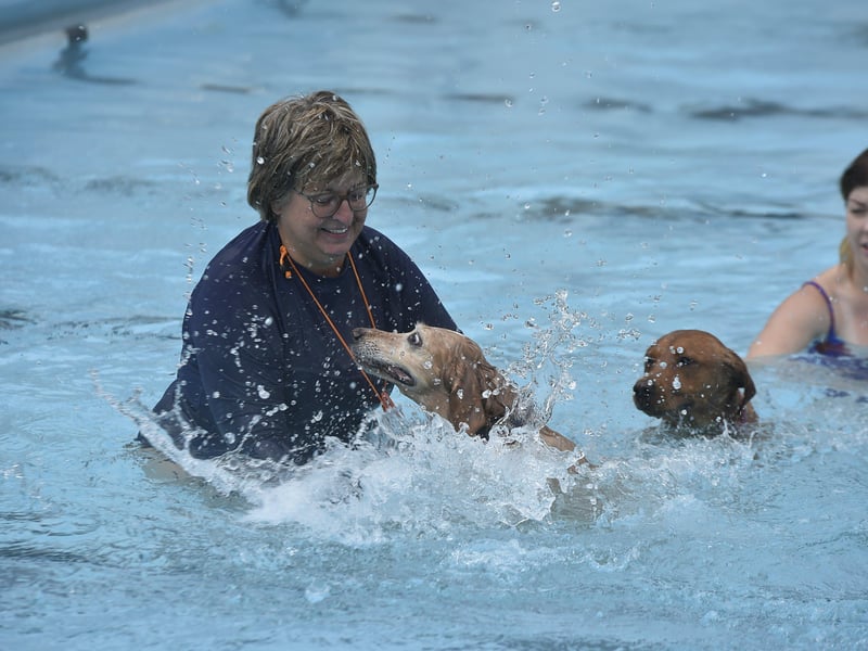 Dogswim at Peterborough Lido EMN-210914-151923009