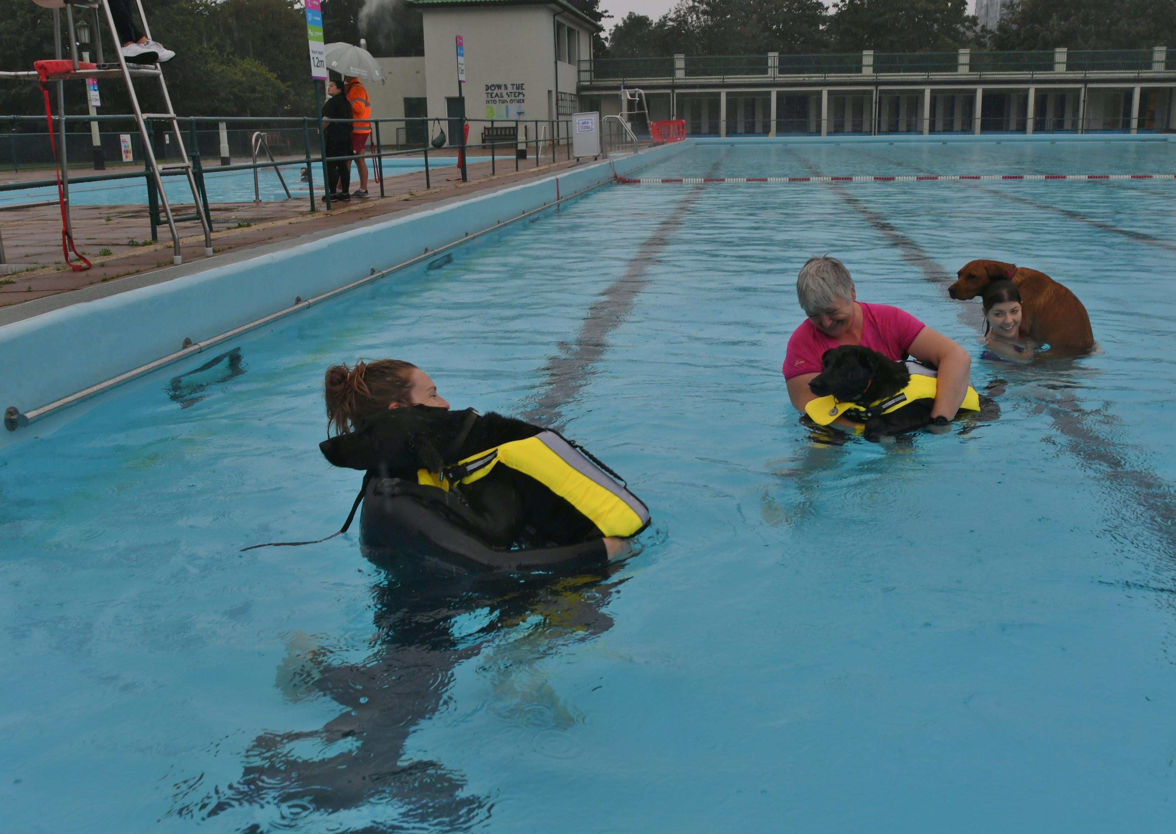 Dogswim at Peterborough Lido EMN-210914-151638009