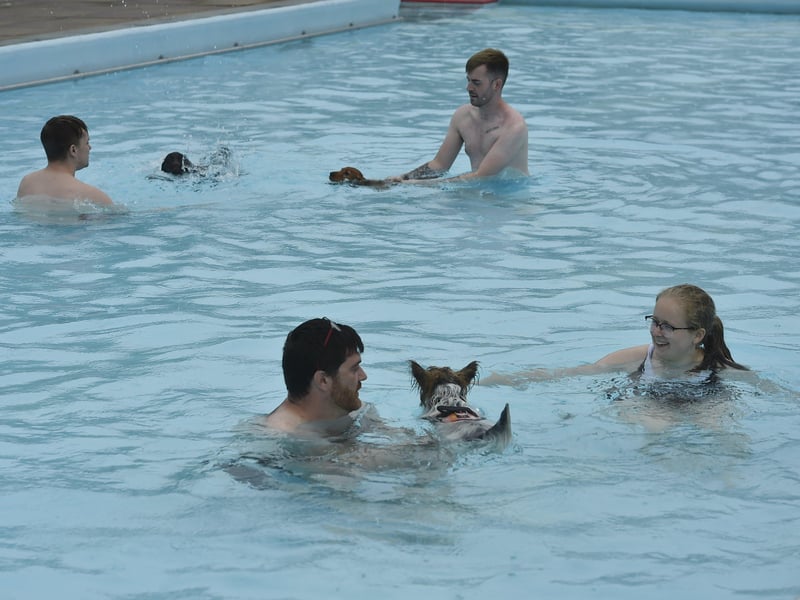 Dogswim at Peterborough Lido EMN-210914-151700009